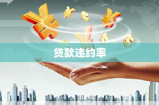 南康贷款违约率