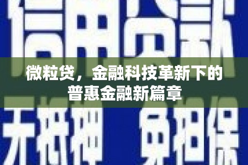 南康微粒贷，金融科技革新下的普惠金融新篇章