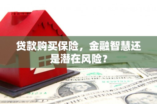 南康贷款购买保险，金融智慧还是潜在风险？