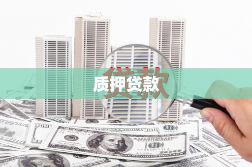 南康质押贷款
