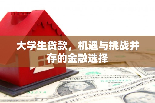 南康大学生贷款，机遇与挑战并存的金融选择