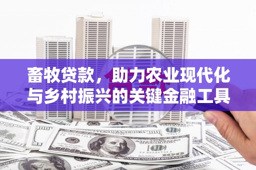 南康畜牧贷款，助力农业现代化与乡村振兴的关键金融工具