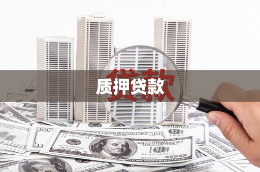 南康质押贷款