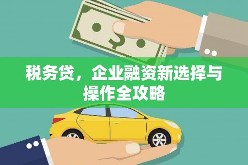 南康税务贷，企业融资新选择与操作全攻略