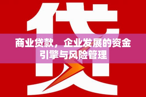 南康商业贷款，企业发展的资金引擎与风险管理