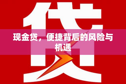 南康现金贷，便捷背后的风险与机遇