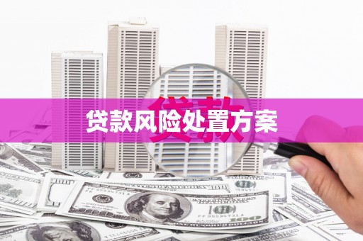 南康贷款风险处置方案