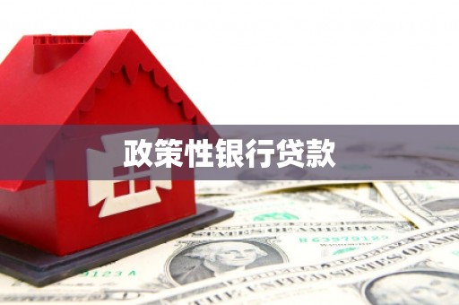 南康政策性银行贷款
