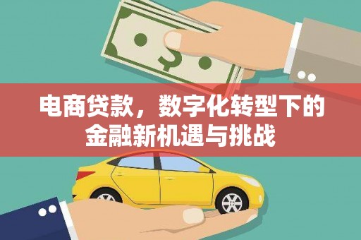 南康电商贷款，数字化转型下的金融新机遇与挑战