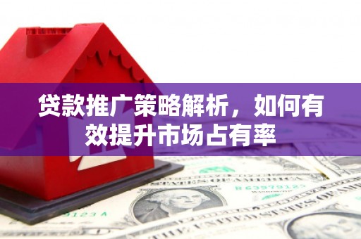 南康贷款推广策略解析，如何有效提升市场占有率