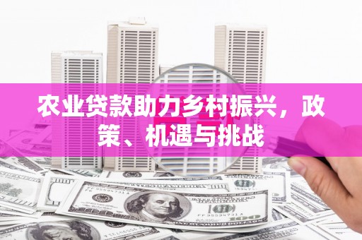 南康农业贷款助力乡村振兴，政策、机遇与挑战