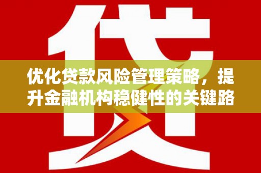 南康优化贷款风险管理策略，提升金融机构稳健性的关键路径
