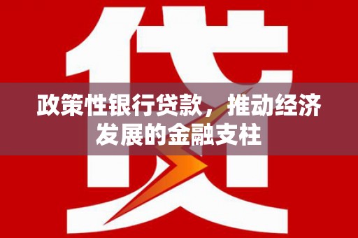 南康政策性银行贷款，推动经济发展的金融支柱