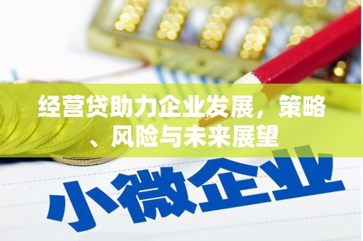 南康经营贷助力企业发展，策略、风险与未来展望