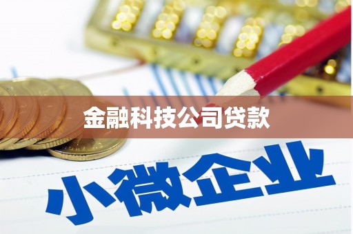 南康金融科技公司贷款