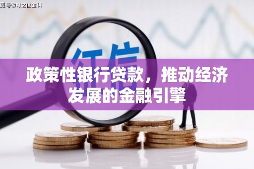 南康政策性银行贷款，推动经济发展的金融引擎