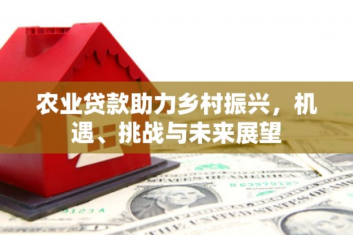 南康农业贷款助力乡村振兴，机遇、挑战与未来展望