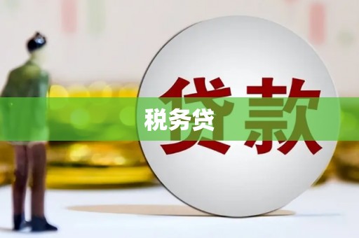 南康税务贷