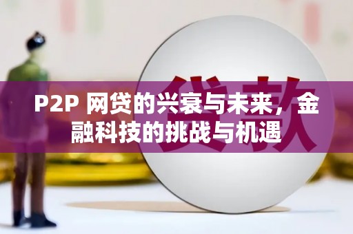 南康P2P 网贷的兴衰与未来，金融科技的挑战与机遇