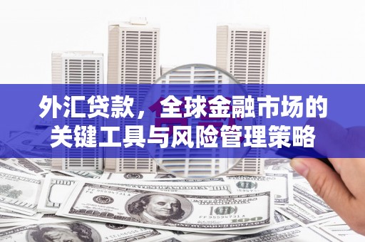 南康外汇贷款，全球金融市场的关键工具与风险管理策略