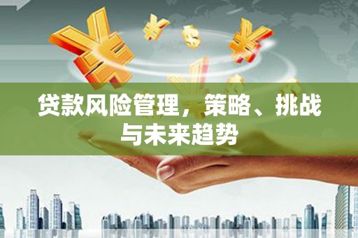 南康贷款风险管理，策略、挑战与未来趋势