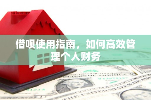 南康借呗使用指南，如何高效管理个人财务