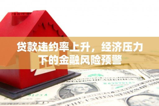 南康贷款违约率上升，经济压力下的金融风险预警