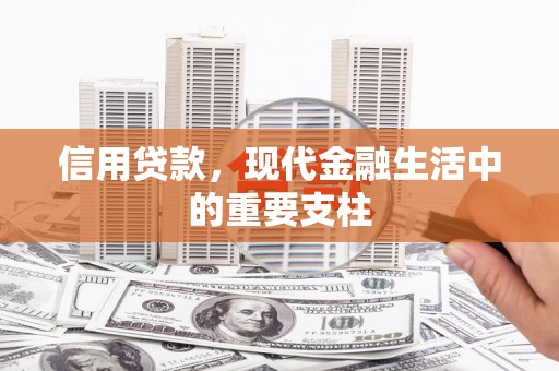 南康信用贷款，现代金融生活中的重要支柱