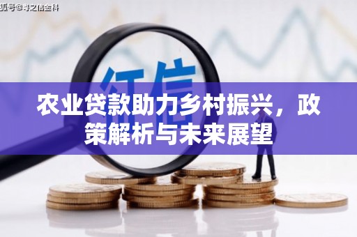 南康农业贷款助力乡村振兴，政策解析与未来展望