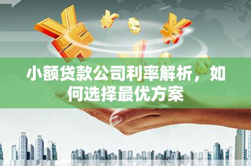 南康小额贷款公司利率解析，如何选择最优方案