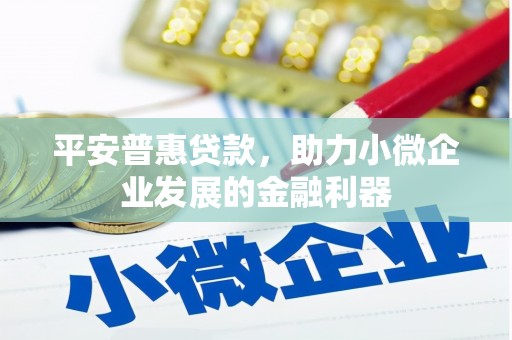 南康平安普惠贷款，助力小微企业发展的金融利器