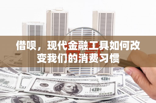 南康借呗，现代金融工具如何改变我们的消费习惯