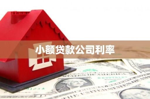 南康小额贷款公司利率