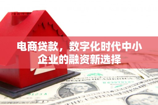 南康电商贷款，数字化时代中小企业的融资新选择