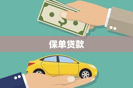 南康保单贷款