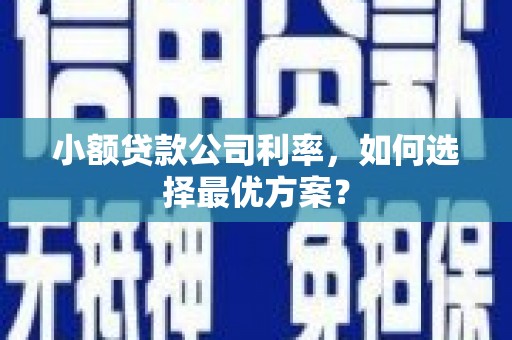 南康小额贷款公司利率，如何选择最优方案？