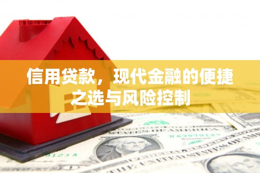南康信用贷款，现代金融的便捷之选与风险控制