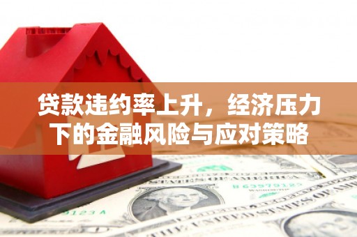 南康贷款违约率上升，经济压力下的金融风险与应对策略