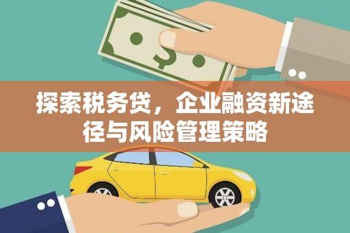 南康探索税务贷，企业融资新途径与风险管理策略