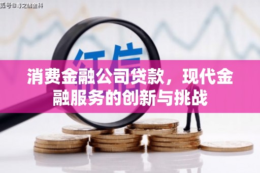 南康消费金融公司贷款，现代金融服务的创新与挑战