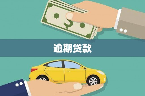 南康逾期贷款