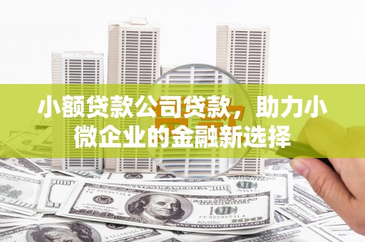 南康小额贷款公司贷款，助力小微企业的金融新选择