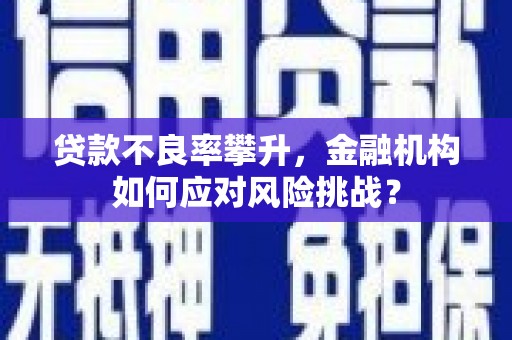 南康贷款不良率攀升，金融机构如何应对风险挑战？