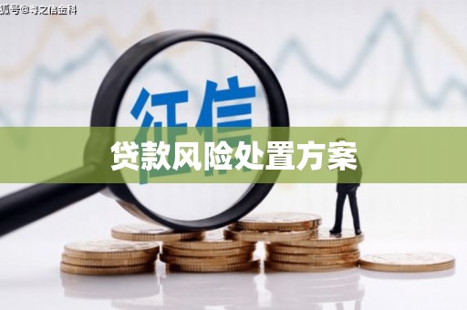 南康贷款风险处置方案