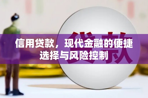 南康信用贷款，现代金融的便捷选择与风险控制