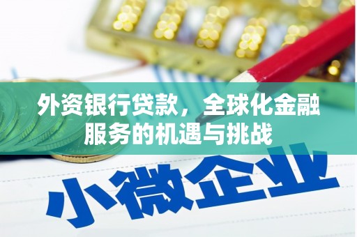 南康外资银行贷款，全球化金融服务的机遇与挑战