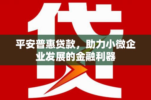 南康平安普惠贷款，助力小微企业发展的金融利器