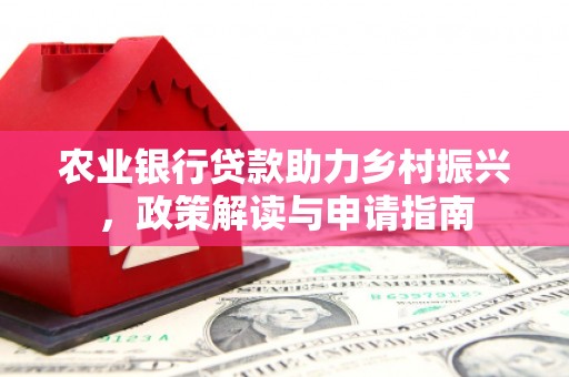 南康农业银行贷款助力乡村振兴，政策解读与申请指南