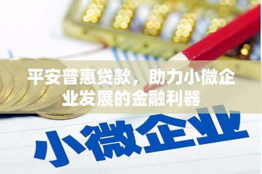 南康平安普惠贷款，助力小微企业发展的金融利器