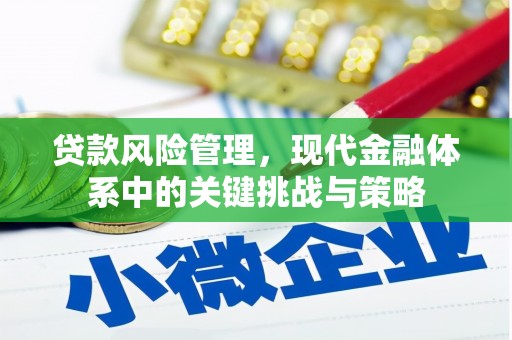 南康贷款风险管理，现代金融体系中的关键挑战与策略